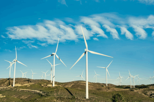 Sustainable Business in the Global Economy