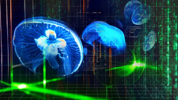 Visualising Life – Interdisciplinary Approaches to Biology