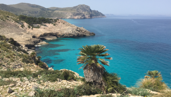 Interdisciplinary Science for Marine and Coastal Conservation in a Changing World