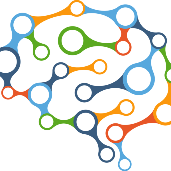 Experiments in Behavioral Economics – Methodology and Applications