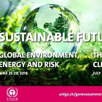 Leadership for Sustainability Transition