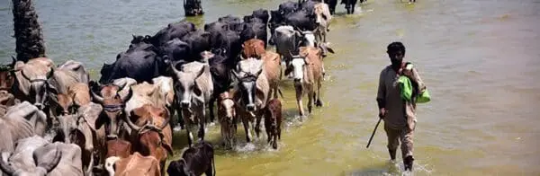 Climate Change, Migration and Social Control