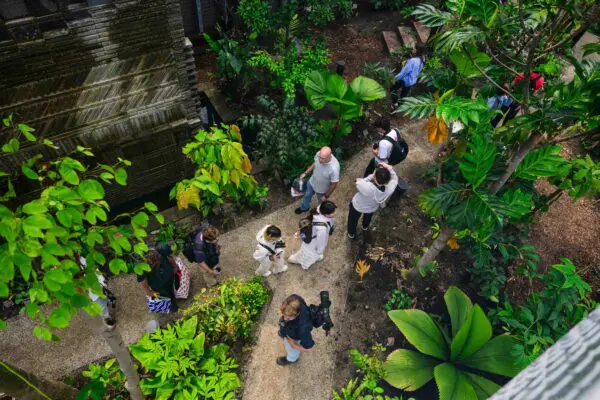 The Circular City: Towards a Sustainable Urban Ecosystem