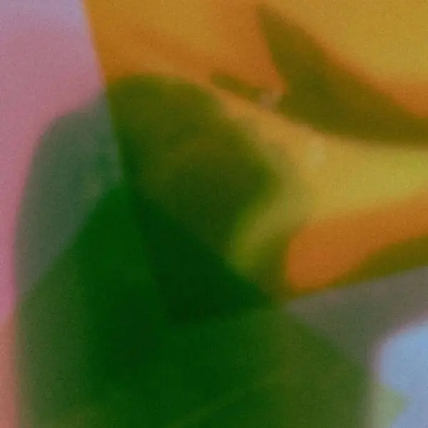 The Psychedelic Universe: Global Perspectives on Higher Consciousness