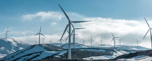 International Energy Business