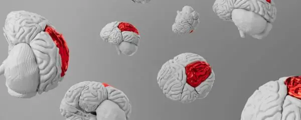 The Interdisciplinary Summer School on Cognitive Neuroscience