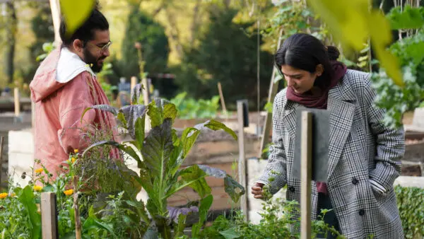 FEAST Summer School – Food Systems in School Education