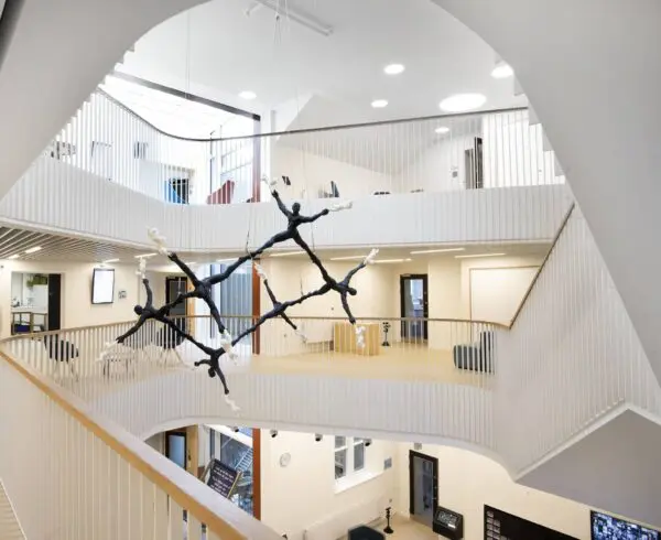 IMPACT Programmes: Science and Biomed