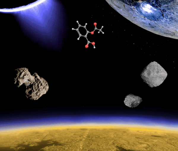 Thematic school for bachelor students: Organics in the Solar System