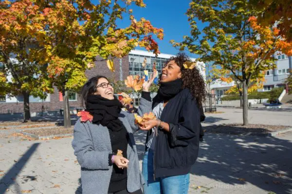 Postwar and Contemporary Art in Western Europe