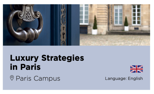 Luxury Strategies in Paris