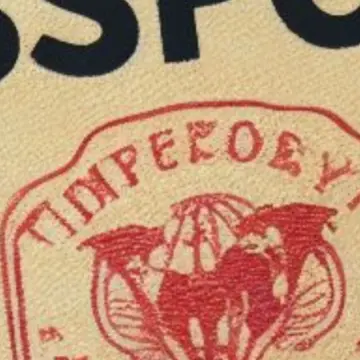 Contestations of Citizenship in Times of Global Democratic Backsliding