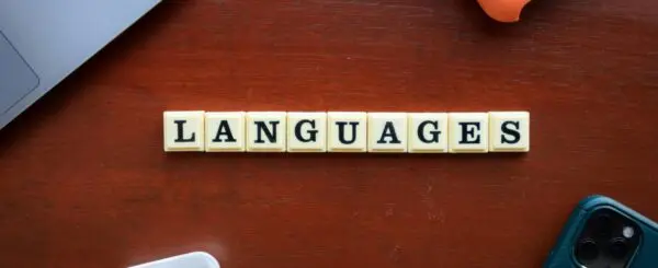 Erupting Languages: the Spontaneous Development of New Languages: Pidgins, Creoles, Mixed Languages and Twins’ Languages