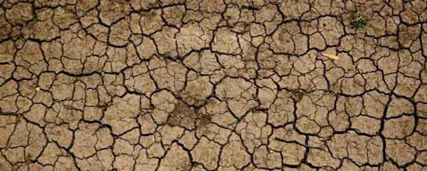 Interdisciplinary Perspectives on Climate Change