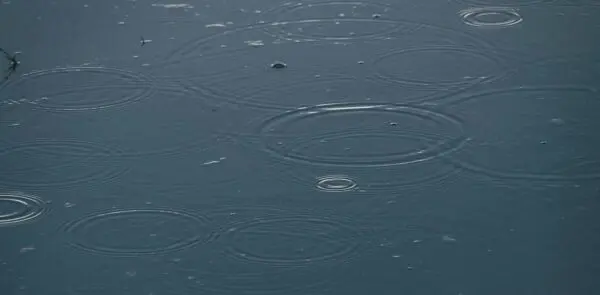 Leading Change in Public Sector Organizations: Strategies for Sustainable Transformation