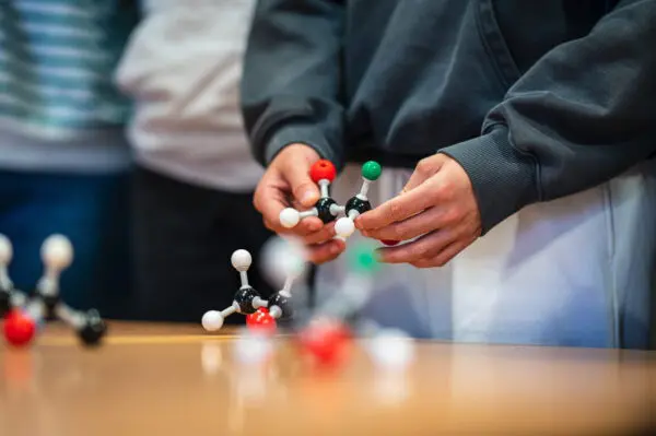 Multiscale Chirality and Optical Activity: Bridging Molecules and Nanomaterials