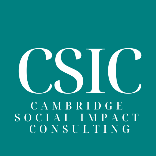 CSIC Innovation and Impact Summer Programme